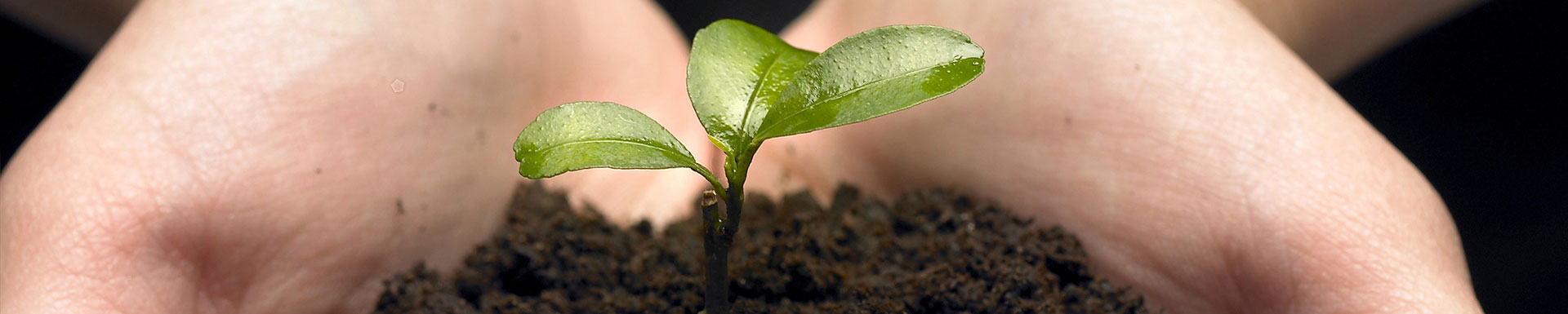 Five important insurance policies for you